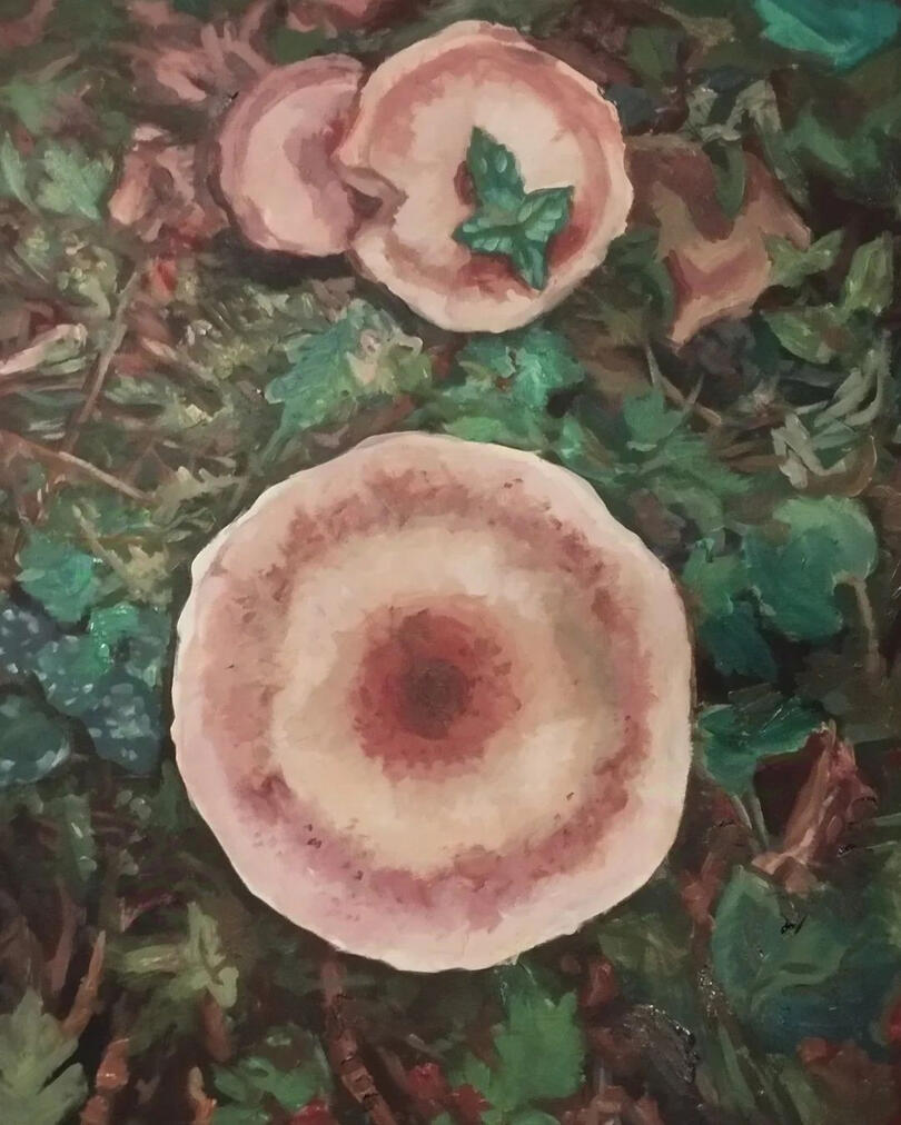 A tego grzyba nie znam. Obraz akrylowy na płótnie 60x80 cm