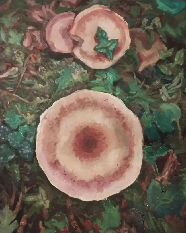 A tego grzyba nie znam. Obraz akrylowy na płótnie 60x80 cm